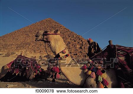 Egypt, Northern Africa, exterior, open air, travel, travel Egyptian art, archaeology View Large Photo Image Stock Photo - Egypt, Northern Africa, exterior, open air, travel, travel Egyptian art, archaeology. Fotosearch