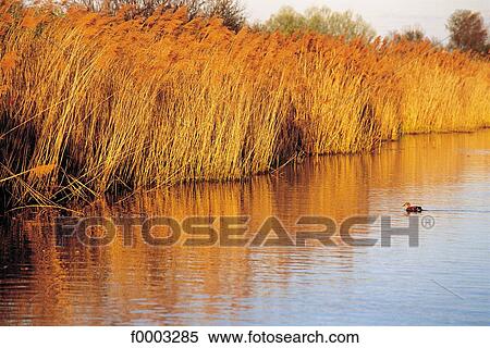 Europe, France, French, French pool, lake, landscape, landscapes View Large Photo Image Stock Photography - Europe, France, French, French pool, lake, landscape, landscapes. Fotosearch