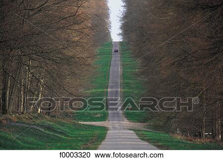 Europe, France, French, French road, forest, landscape, landscapes View Large Photo Image Stock Image - Europe, France, French, French road, forest, landscape, landscapes. Fotosearch