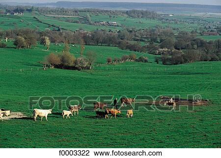 Europe, France, French, French landscape, landscapes, scene, scenery View Large Photo Image Stock Image - Europe, France, French, French landscape, landscapes, scene, scenery. Fotosearch