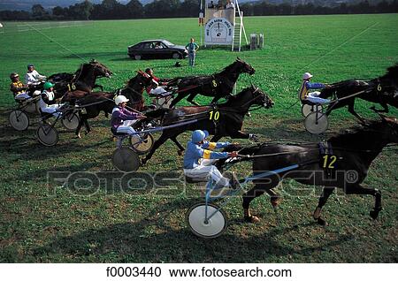 Stock Image - Europe, France, French, French racecourse, harnessing, horse, sport. Fotosearch