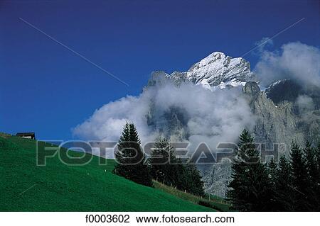 Europe, landscape, landscapes, scene, scenery, scenes, sceneries View Large Photo Image Stock Image - Europe, landscape, landscapes, scene, scenery, scenes, sceneries. Fotosearch