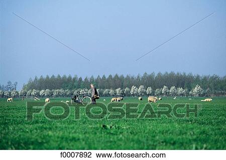Stock Image - Europe, Netherlands, exterior, open air, travel, travel horizontal, field. Fotosearch