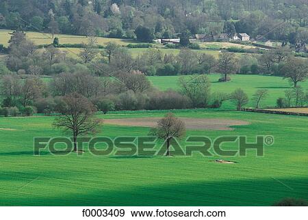 Europe Royaume Uni Angleterre Grande Bretagne Paysage Paysages Scene Banque De Photo F Fotosearch