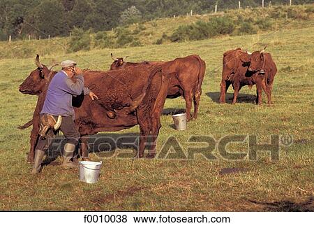 Stock Photo - Europe, travel, travel France, French, French horizontal, Auvergne, exterior. Fotosearch