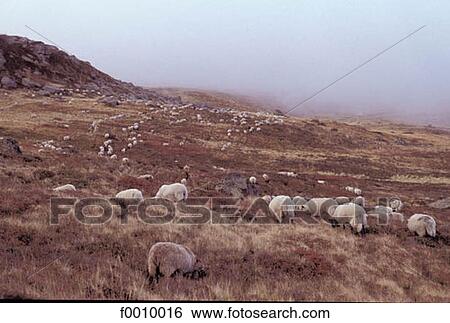 Europe, travel, travel France, French, French horizontal, Auvergne, exterior View Large Photo Image Stock Photograph - Europe, travel, travel France, French, French horizontal, Auvergne, exterior. Fotosearch