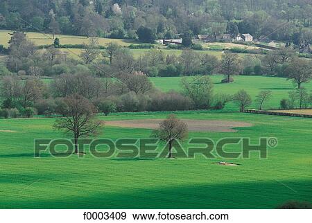 Europe, United Kingdom, England, Britain, landscape, landscapes, scene View Large Photo Image Stock Photo - Europe, United Kingdom, England, Britain, landscape, landscapes, scene. Fotosearch