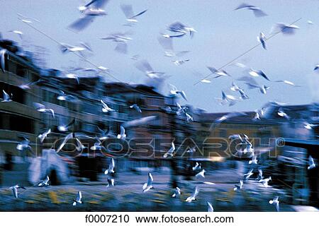 exterior, open air, background, backgrounds, blue, movement, motion View Large Photo Image Stock Image - exterior, open air, background, backgrounds, blue, movement, motion. Fotosearch