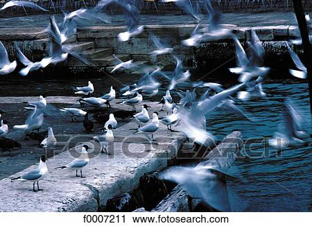 exterior, open air, background, backgrounds, blue, movement, motion View Large Photo Image Stock Image - exterior, open air, background, backgrounds, blue, movement, motion. Fotosearch