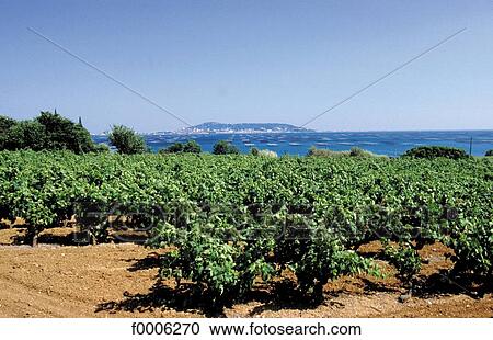 exterior, open air, Europe, France, French, French Languedoc Roussillon View Large Photo Image Stock Image - exterior, open air, Europe, France, French, French Languedoc Roussillon. Fotosearch
