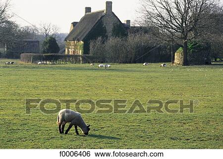 exterior, open air, Europe, Pays de la Loire, France, French View Large Photo Image Stock Photograph - exterior, open air, Europe, Pays de la Loire, France, French. Fotosearch