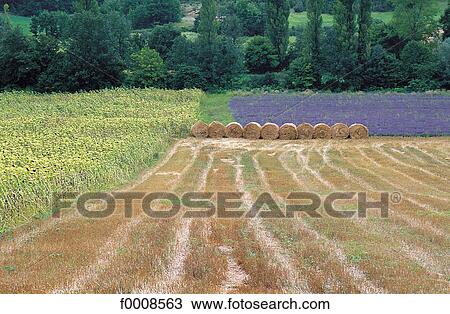 exterior, open air, Europe, travel, travel France, French, French Lot View Large Photo Image Stock Image - exterior, open air, Europe, travel, travel France, French, French Lot. Fotosearch