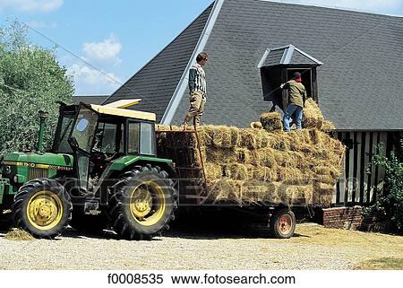 exterior, open air, France, French, French Europe, Normandy, Calvados View Large Photo Image Stock Photography - exterior, open air, France, French, French Europe, Normandy, Calvados. Fotosearch