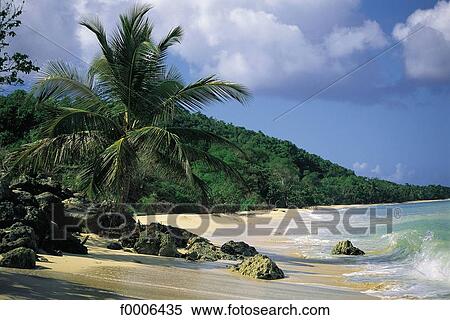 exterior, open air, French West Indies, Guadeloupe, Marie Galante, beach View Large Photo Image Stock Photography - exterior, open air, French West Indies, Guadeloupe, Marie Galante, beach. Fotosearch