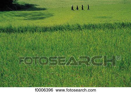 exterior, open air, landscape, landscapes, scene, scenery, scenes View Large Photo Image Stock Photograph - exterior, open air, landscape, landscapes, scene, scenery, scenes. Fotosearch
