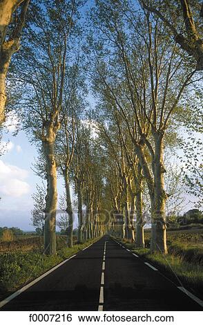 exterior, open air, road, direction, tree, trees View Large Photo Image Stock Photograph - exterior, open air, road, direction, tree, trees. Fotosearch