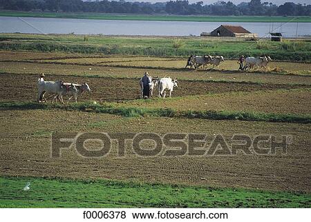 Stock Photo - exterior, open air, South East Asia, Asia, Burma, Myanmar. Fotosearch