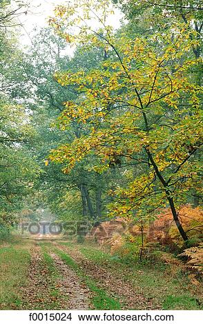exterior, open air, Southern Europe, Europe, European France, French French, travel View Large Photo Image Picture - exterior, open air, Southern Europe, Europe, European France, French French, travel. Fotosearch