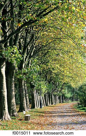 exterior, open air, Southern Europe, Europe, European France, French French, travel View Large Photo Image Stock Image - exterior, open air, Southern Europe, Europe, European France, French French, travel. Fotosearch