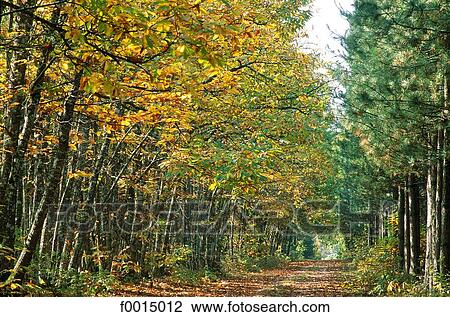 exterior, open air, Southern Europe, Europe, European France, French French, travel View Large Photo Image Stock Image - exterior, open air, Southern Europe, Europe, European France, French French, travel. Fotosearch