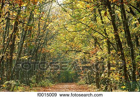 Stock Photo - exterior, open air, Southern Europe, Europe, European France, French French, travel. Fotosearch