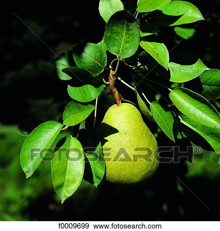 exterior, open air, summer, background, backgrounds, gastronomy View Large Photo Image Stock Photo - exterior, open air, summer, background, backgrounds, gastronomy. Fotosearch
