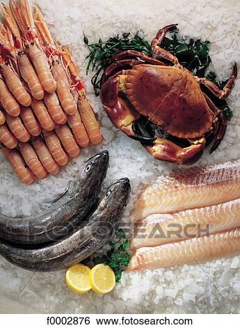 Stock Photograph - fish, shellfish, fish filet, crab, Dublin bay prawn, coalfish, aliment. Fotosearch