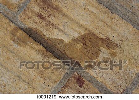 foot, feet, stone, print, exterior, open air View Large Photo Image Stock Photo - foot, feet, stone, print, exterior, open air. Fotosearch