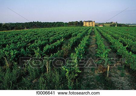 Stock Image - France, French, French Centre, Europe, Indre Loire, travel, travel exterior. Fotosearch