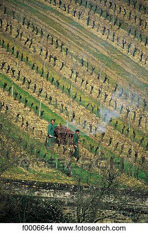Picture - France, French, French Europe, Centre, Indre Loire, travel, travel exterior. Fotosearch