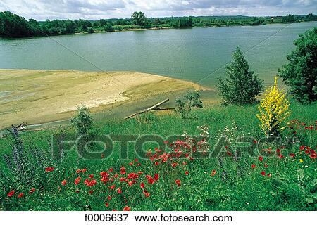France, French, French Europe, Centre, travel, travel Indre Loire, Loire View Large Photo Image Stock Photo - France, French, French Europe, Centre, travel, travel Indre Loire, Loire. Fotosearch