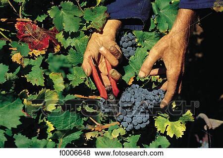 Stock Photo - France, French, French Europe, Centre, travel, travel exterior, open air. Fotosearch
