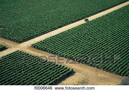 France, French, French Europe, Centre, Indre Loire, travel, travel exterior View Large Photo Image Stock Photograph - France, French, French Europe, Centre, Indre Loire, travel, travel exterior. Fotosearch
