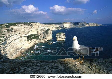France, French, French Europe, Corsica, South Corsica, Bonifacio, travel View Large Photo Image Stock Image - France, French, French Europe, Corsica, South Corsica, Bonifacio, travel. Fotosearch