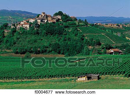 France, French, French Europe, Rhone, Rhone Alpes, Ternand, village View Large Photo Image Stock Photo - France, French, French Europe, Rhone, Rhone Alpes, Ternand, village. Fotosearch