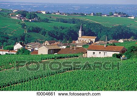 France, French, French Europe, Burgundy, Saone et Loire, Julianas, landscape View Large Photo Image Stock Image - France, French, French Europe, Burgundy, Saone et Loire, Julianas, landscape. Fotosearch