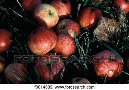 France, French, French Europe, exterior, open air, travel View Large Photo Image Stock Photo - France, French, French Europe, exterior, open air, travel. Fotosearch