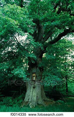 France, French, French Europe, exterior, open air, travel, travel Normandy View Large Photo Image Stock Photography - France, French, French Europe, exterior, open air, travel, travel Normandy. Fotosearch