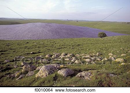 Picture - France, French, French Europe, travel, travel exterior, open air. Fotosearch