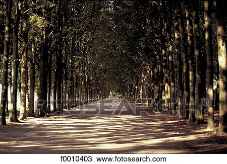 France, French, French Europe, travel, travel Ile de France, exterior, open air View Large Photo Image Stock Image - France, French, French Europe, travel, travel Ile de France, exterior, open air. Fotosearch