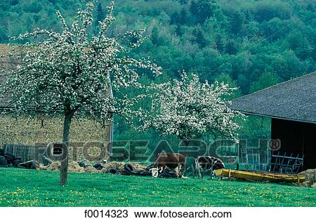 France, French, French horizontal, Europe, exterior, open air, travel View Large Photo Image Stock Image - France, French, French horizontal, Europe, exterior, open air, travel. Fotosearch