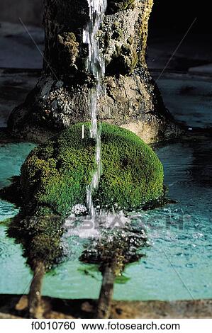 Stock Image - France, French, French Provence Alpes Cote d'Azur, Provence, Europe, travel, travel exterior. Fotosearch