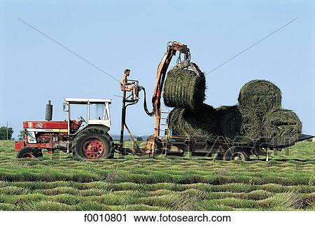 Stock Image - France, French, French Provence Alpes Cote d'Azur, Provence, Europe, travel, travel exterior. Fotosearch