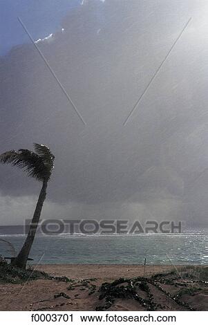 French West Indies, beach, beaches, sea, sand, rain, cloud View Large Photo Image Stock Image - French West Indies, beach, beaches, sea, sand, rain, cloud. Fotosearch