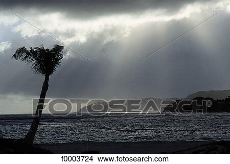 French West Indies, Guadeloupe, coastal landscape, coast, littoral, sea-side, seaside View Large Photo Image Picture - French West Indies, Guadeloupe, coastal landscape, coast, littoral, sea-side, seaside. Fotosearch