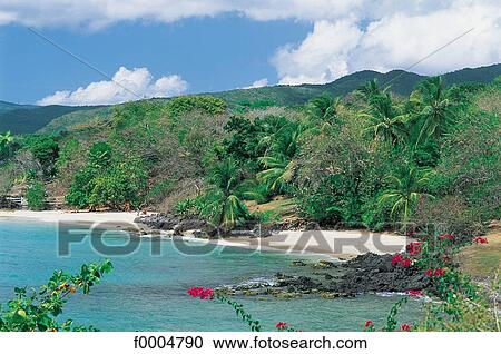 Stock Image - French West Indies, Martinique, beach, beaches, sea, sand, landscape. Fotosearch