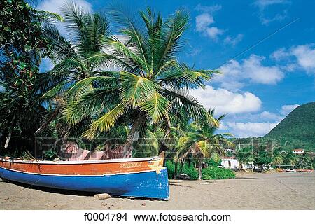 French West Indies, Martinique, palm tree, boat, exterior, open air View Large Photo Image Picture - French West Indies, Martinique, palm tree, boat, exterior, open air. Fotosearch