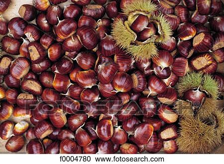 fruit, dried fruit, chestnut, aliment, brown, inside View Large Photo Image Stock Image - fruit, dried fruit, chestnut, aliment, brown, inside. Fotosearch