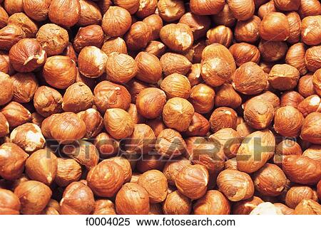 fruit, dried fruit, hazelnut, brown, aliment, inside View Large Photo Image Stock Photography - fruit, dried fruit, hazelnut, brown, aliment, inside. Fotosearch