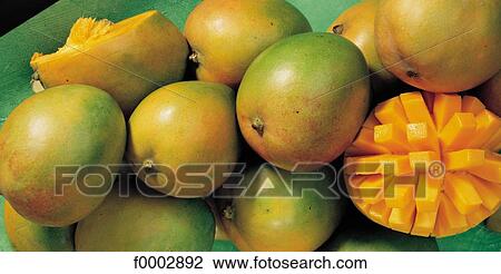 fruit, exotic, fruit, mango, aliment, inside View Large Photo Image Stock Image - fruit, exotic, fruit, mango, aliment, inside. Fotosearch